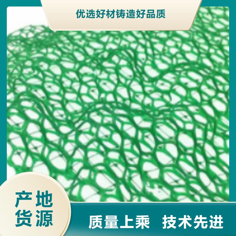 三维植被网,【防护虹吸排水收集系统】实地大厂{朋联}