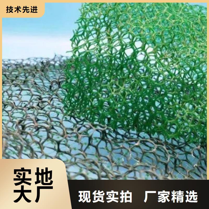 三维植被网植草格本地厂家值得信赖