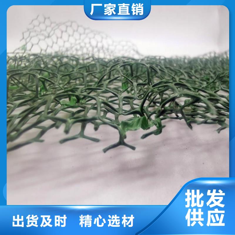 三维植被网,【防护虹吸排水收集系统】实地大厂{朋联}
