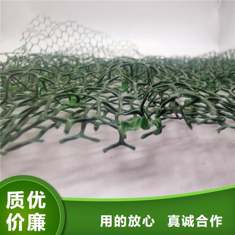 三维植被网-水泥化粪池实力商家
