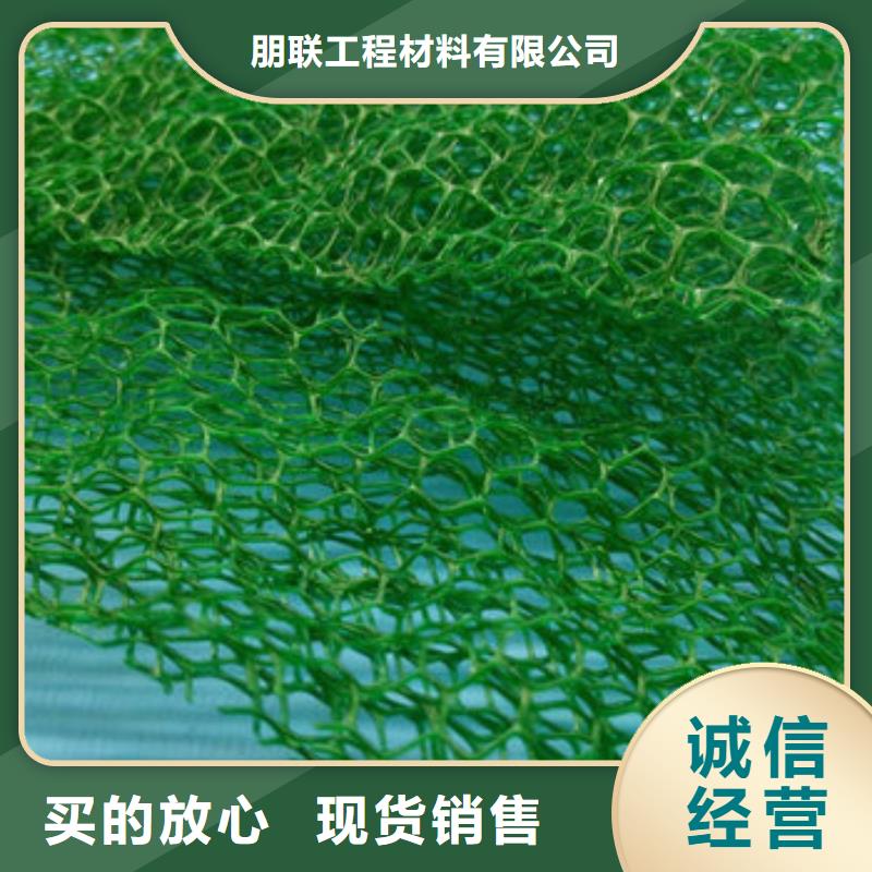三维植被网,【防护虹吸排水收集系统】实地大厂{朋联}