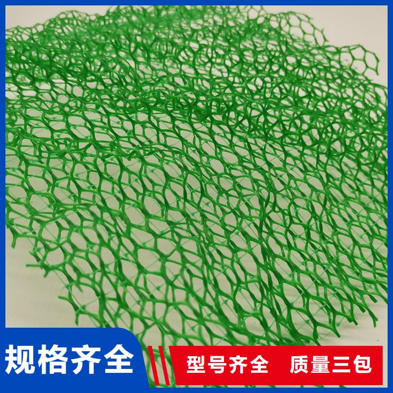 三维植被网【植草格】支持定制贴心售后