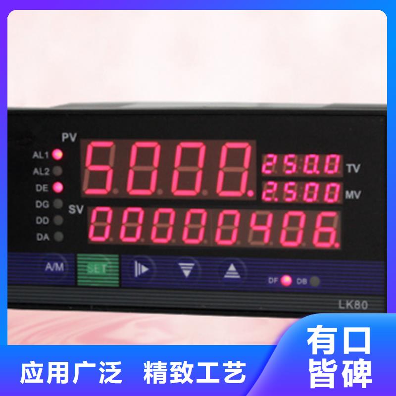 索正自动化仪表WP-LE3P-T1894HL价格低交货快