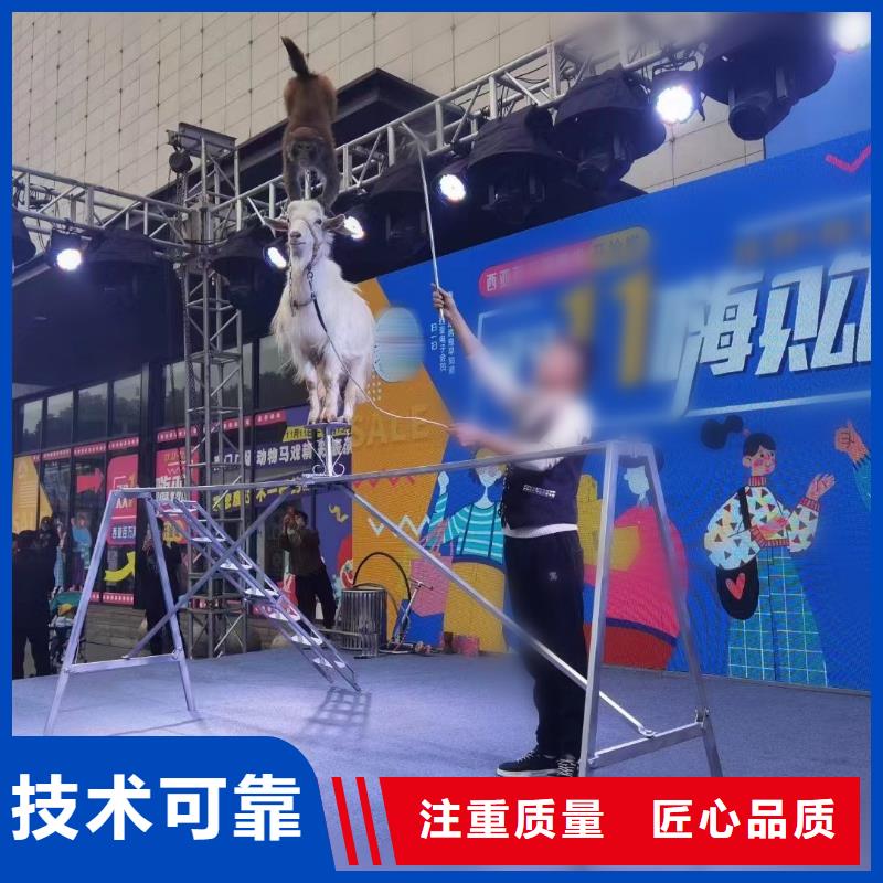 【马戏团/羊驼海狮表演出租承接】