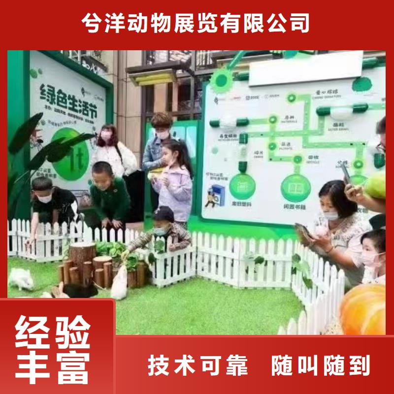 马戏团/羊驼_羊驼出租知名公司