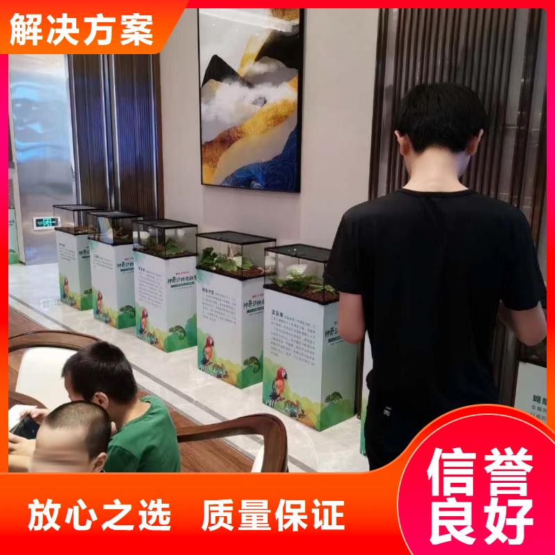 【马戏团/羊驼_房地产开盘庆典从业经验丰富】