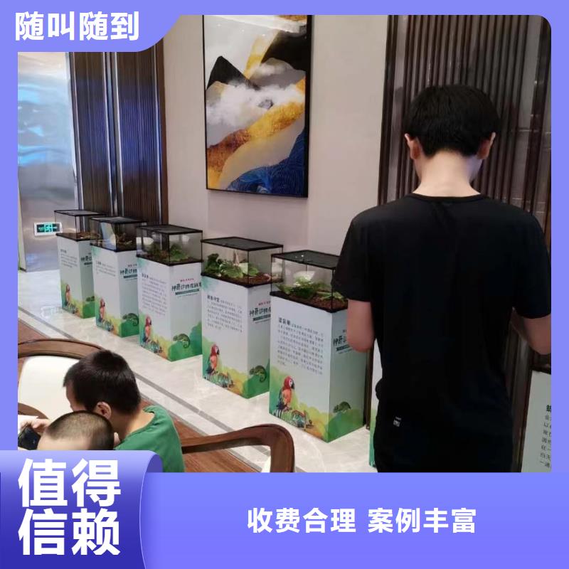 马戏团/羊驼企鹅租赁注重质量