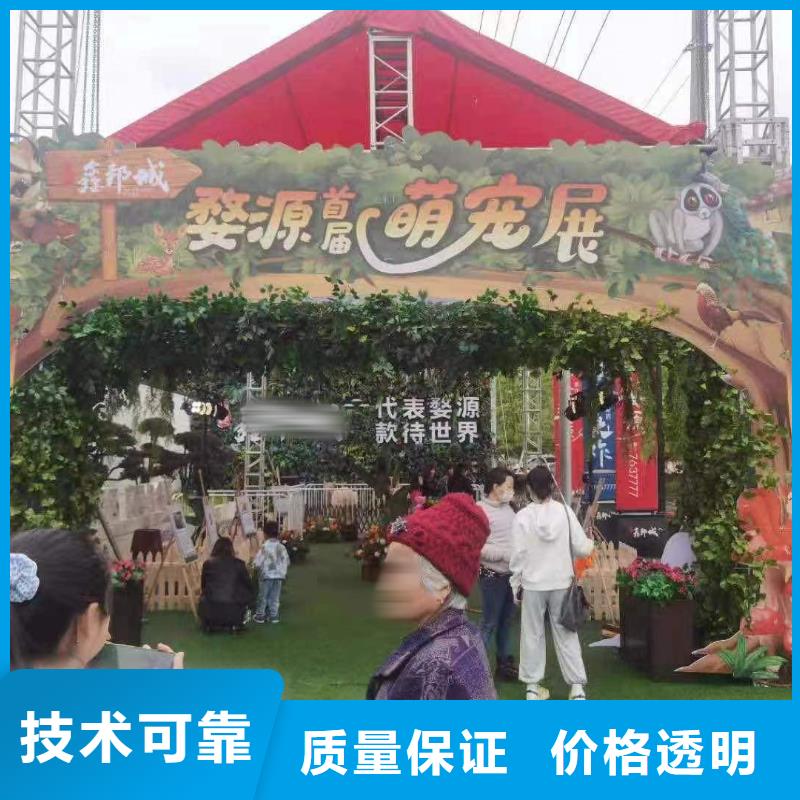 马戏团/羊驼鹦鹉表演价格透明