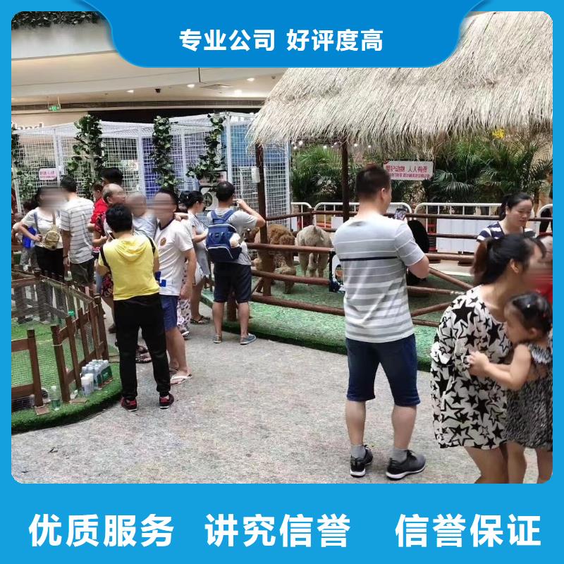 【马戏团/羊驼】,海洋展租赁实力商家