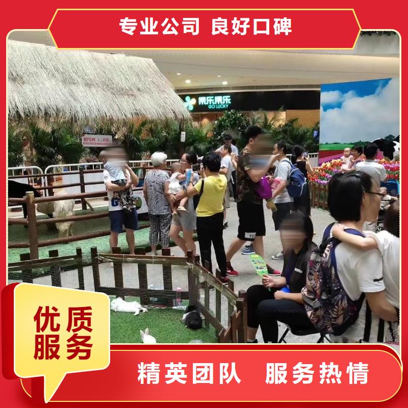 马戏团/羊驼-海洋展租赁好评度高