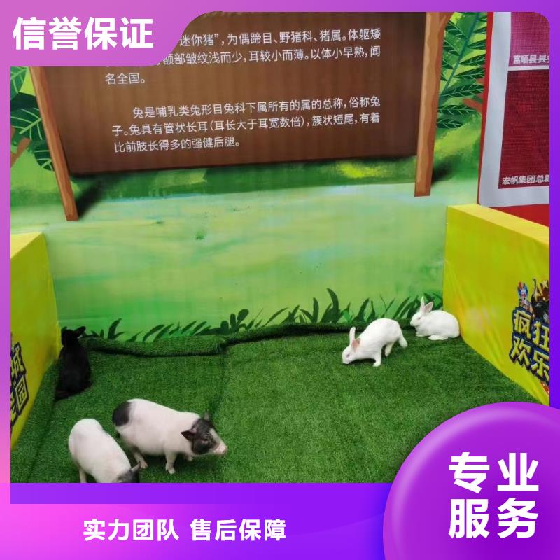 马戏团/羊驼_杂耍演出匠心品质