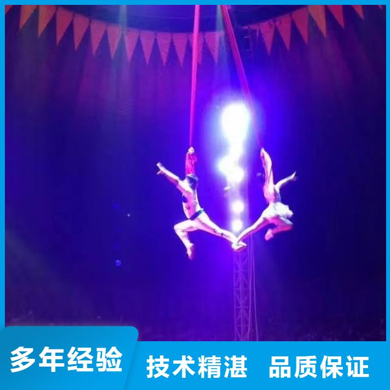 马戏团/羊驼海豚表演专业公司