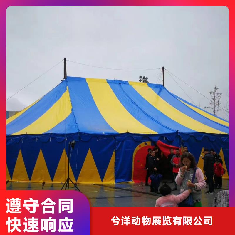 马戏团/羊驼-美人鱼表演专业