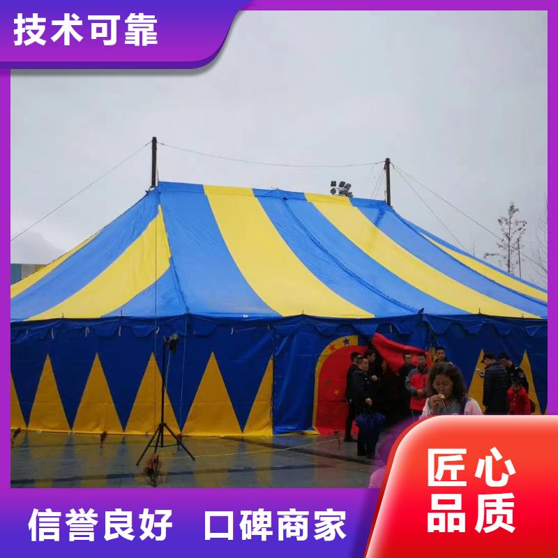 马戏团/羊驼动物表演出租实力团队