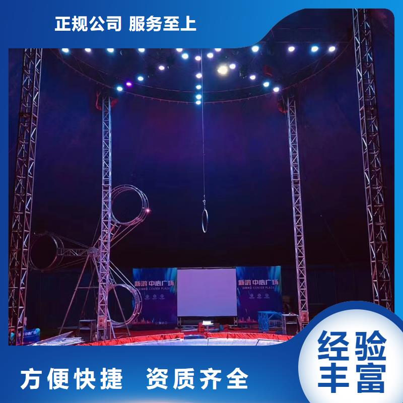 马戏团/羊驼景区杂技表演一对一服务