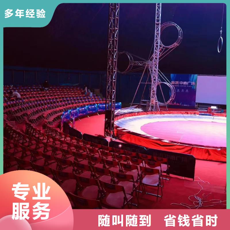 马戏团/羊驼,马戏表演2025专业的团队