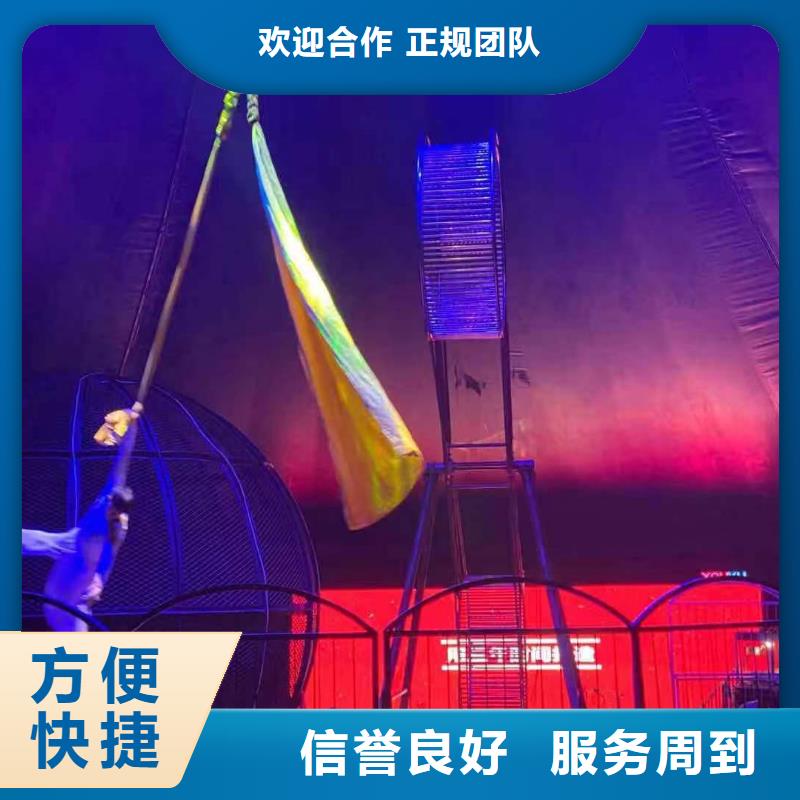 马戏团/羊驼美人鱼表演一对一服务