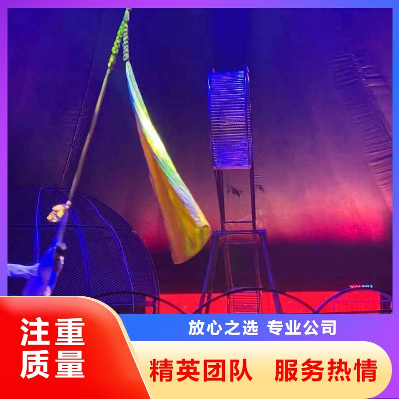 马戏团/羊驼美人鱼表演一对一服务