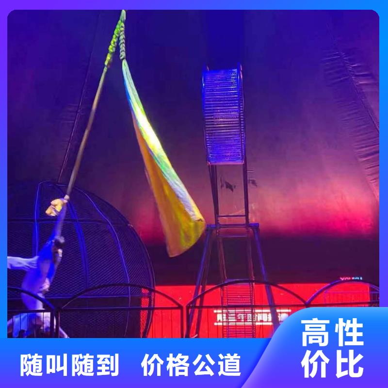 马戏团/羊驼【出租海狮表演】承接