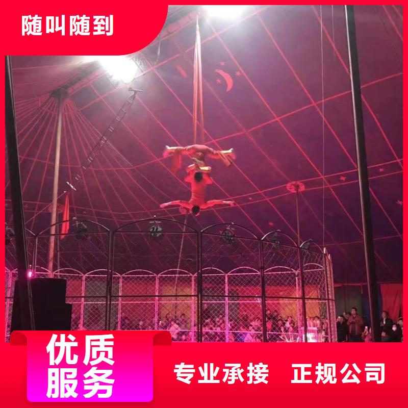 【马戏团/羊驼马戏团表演出租租赁一对一服务】