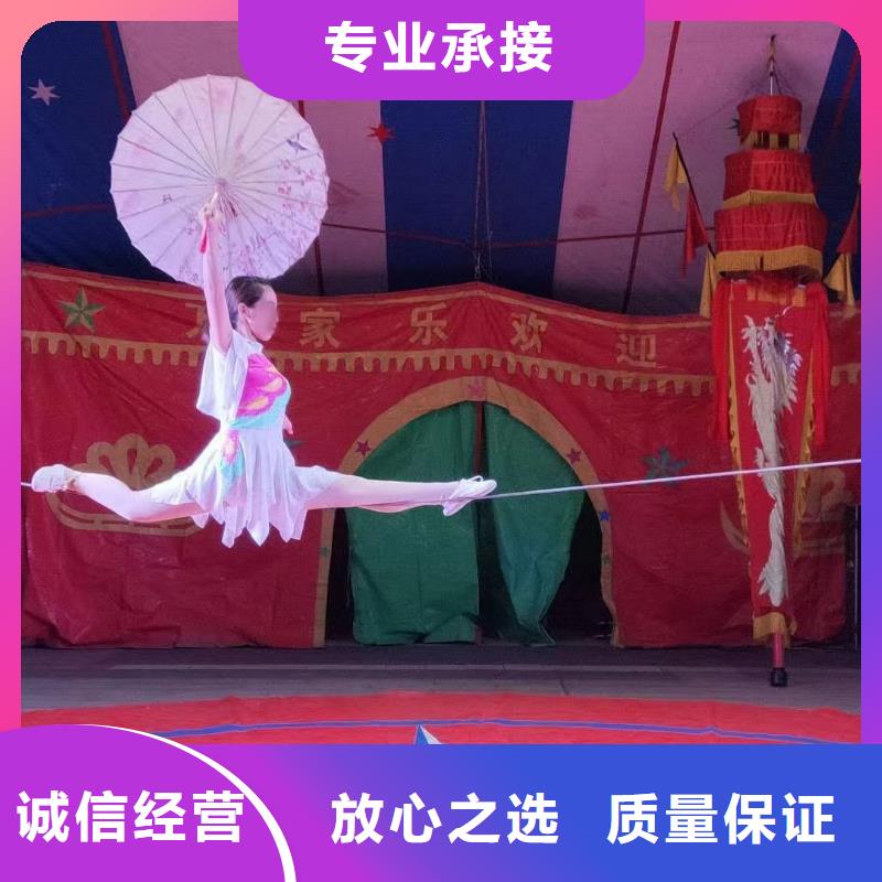 【马戏团/羊驼】【活体羊驼租赁】多年行业经验