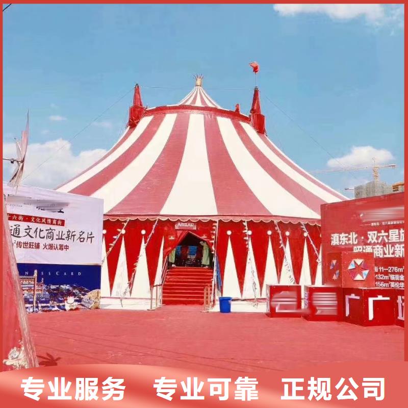 马戏团/羊驼_杂耍演出匠心品质