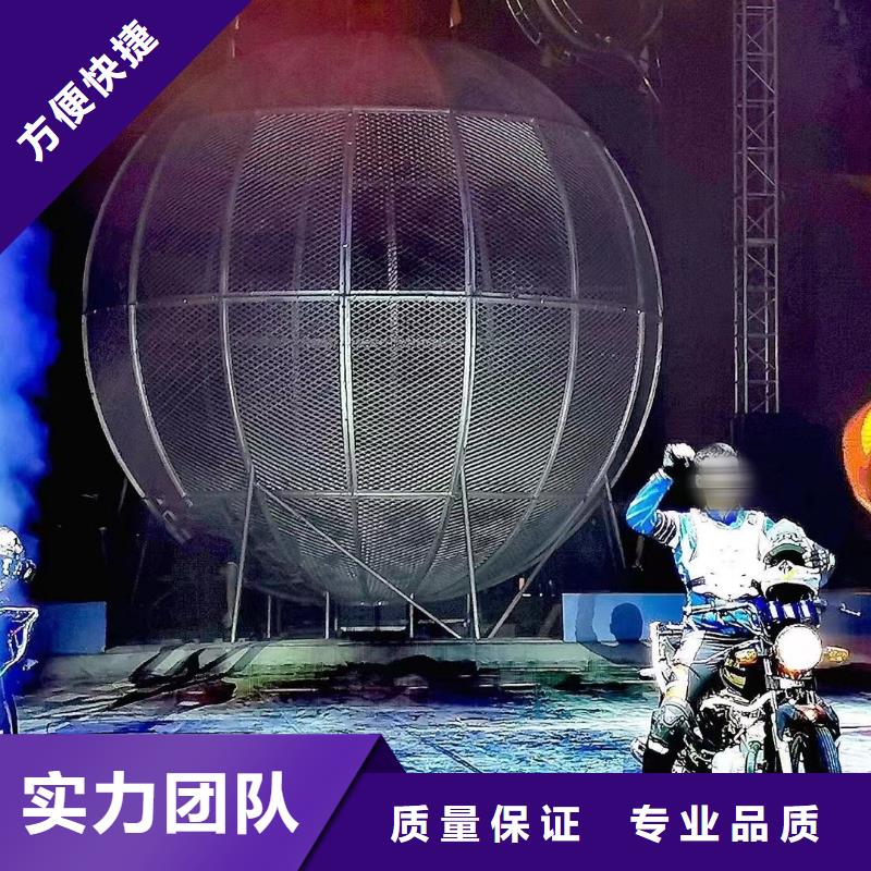 马戏团/羊驼海狮演出齐全