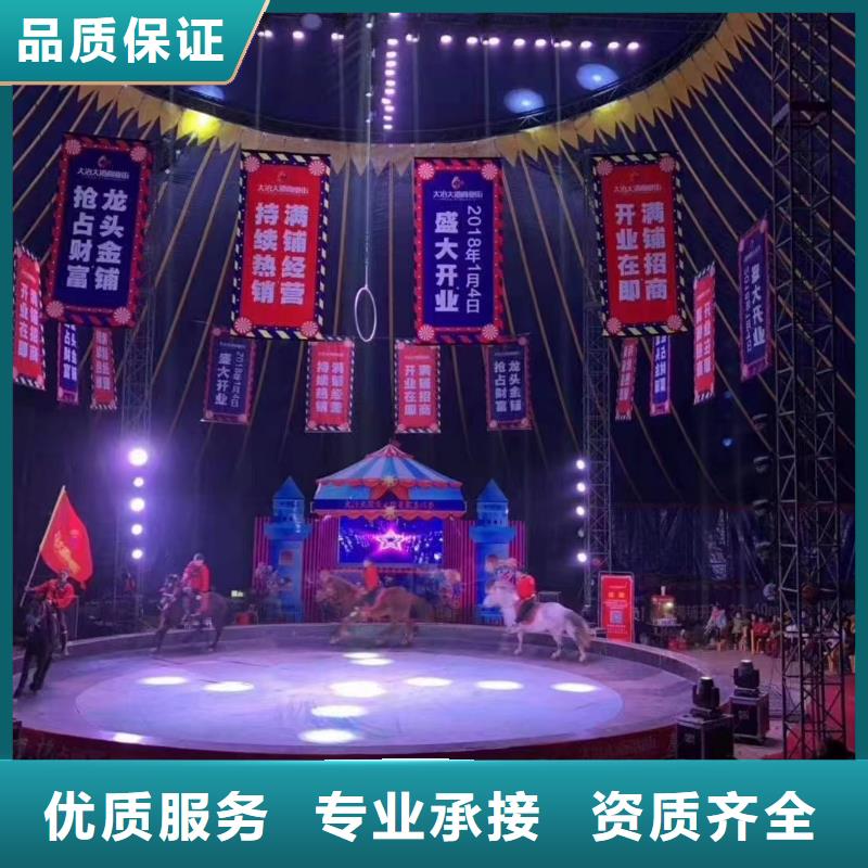 【马戏团/羊驼】,杂耍演出随叫随到