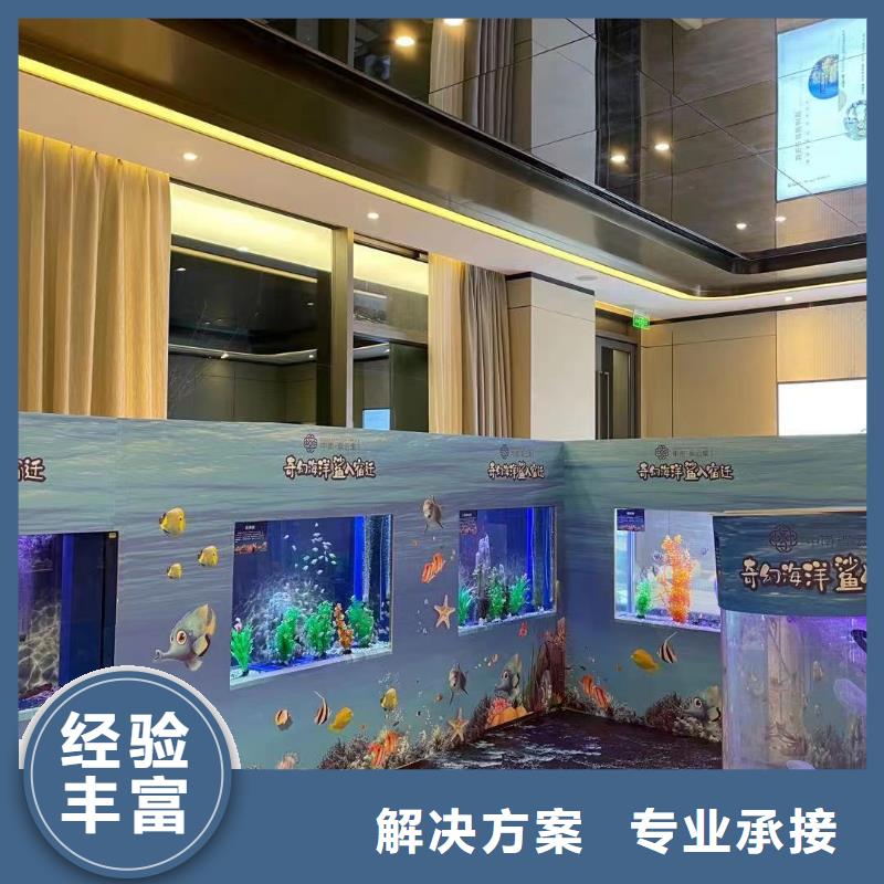 海洋主题动物表演美人鱼表演有实力