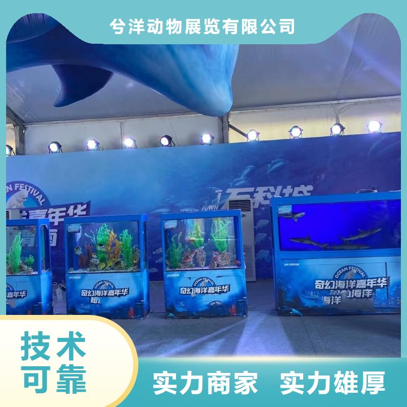 海洋主题动物表演海洋展租赁案例丰富