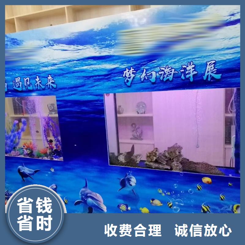 海洋主题动物表演海洋展租赁专业品质