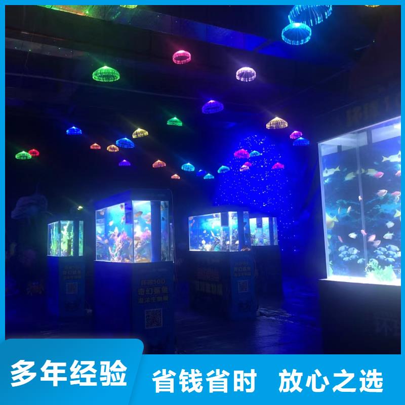 海洋主题动物表演海洋展租赁案例丰富