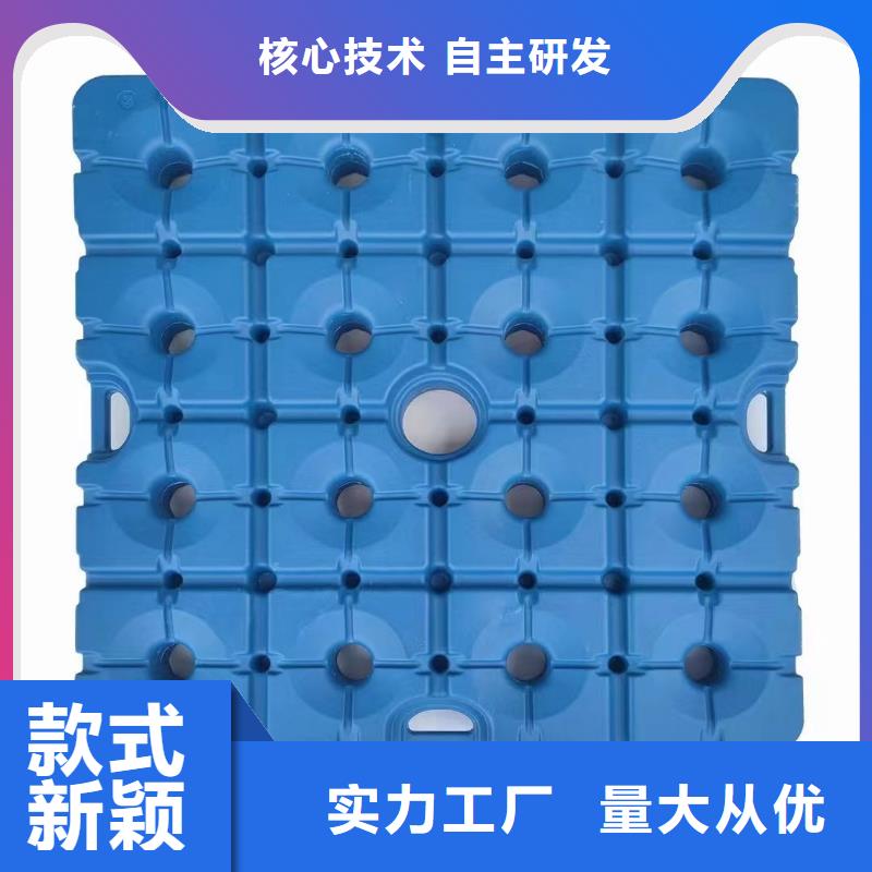 塑料托盘_货架拍子供货及时