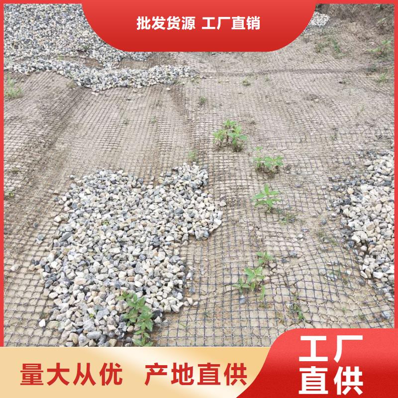 土工格栅\抗裂贴土工格栅定制批发