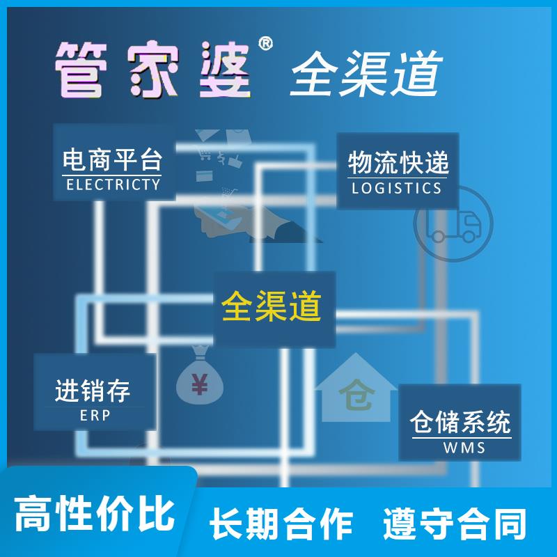 软件出入库管理软件实力团队