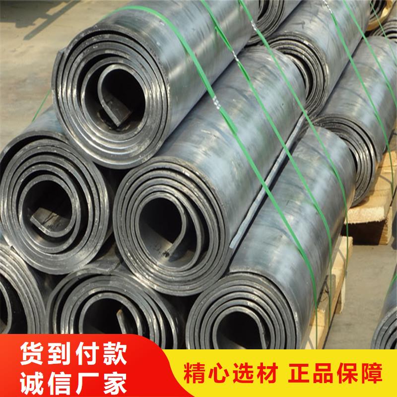 电动铅门视频-电动铅门|泰州市|兴化|海陵|南京|盐城|连云港|苏州|常州