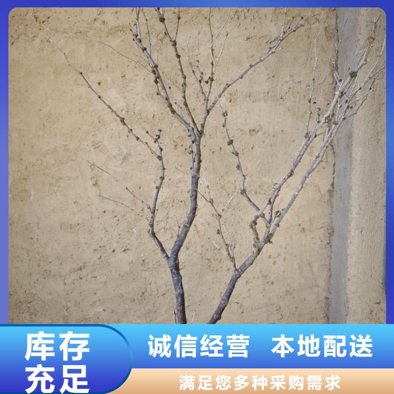 怎么施工仿泥巴稻草漆招商加盟