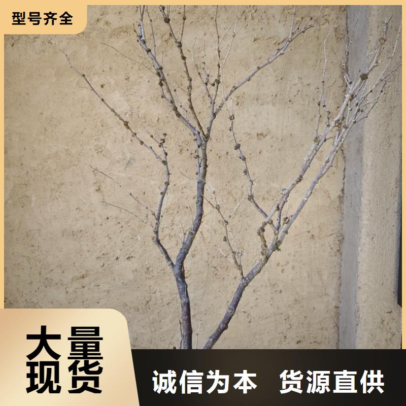 仿五花断层夯土漆多少钱#仿泥巴稻草漆#民宿改造#美丽乡村