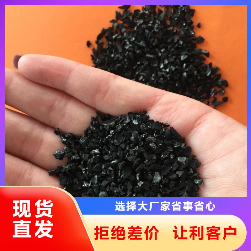 活性炭实地大厂