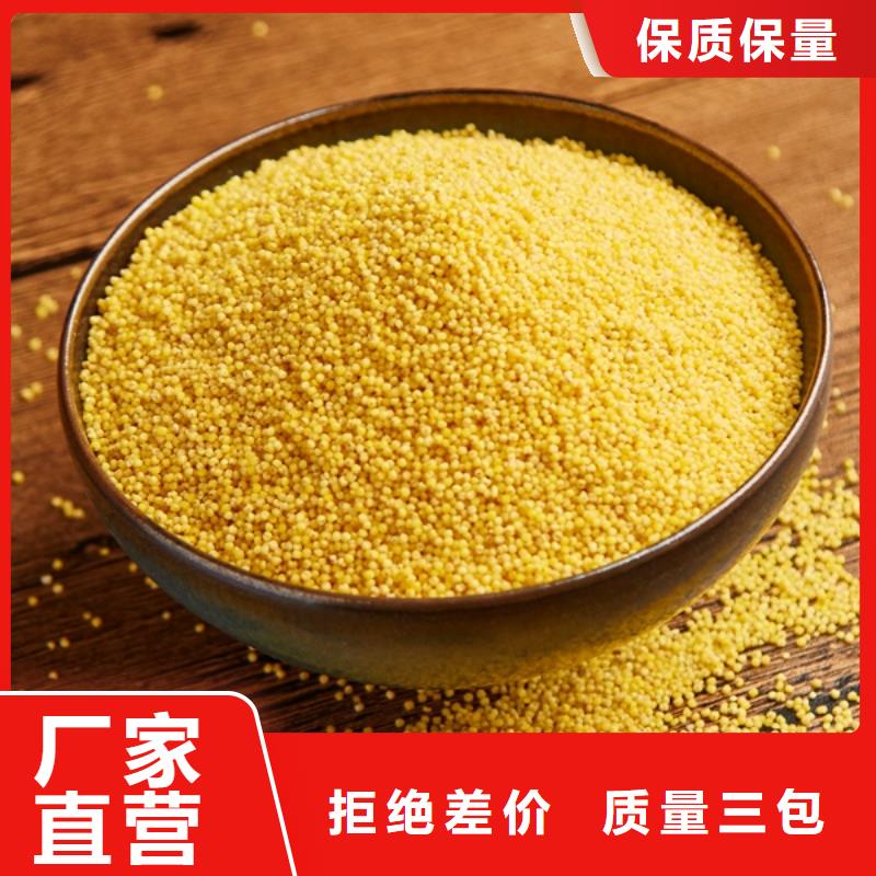 混凝剂PAC厂家直销