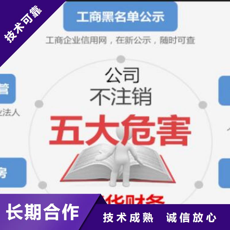 公司解非报税记账精英团队