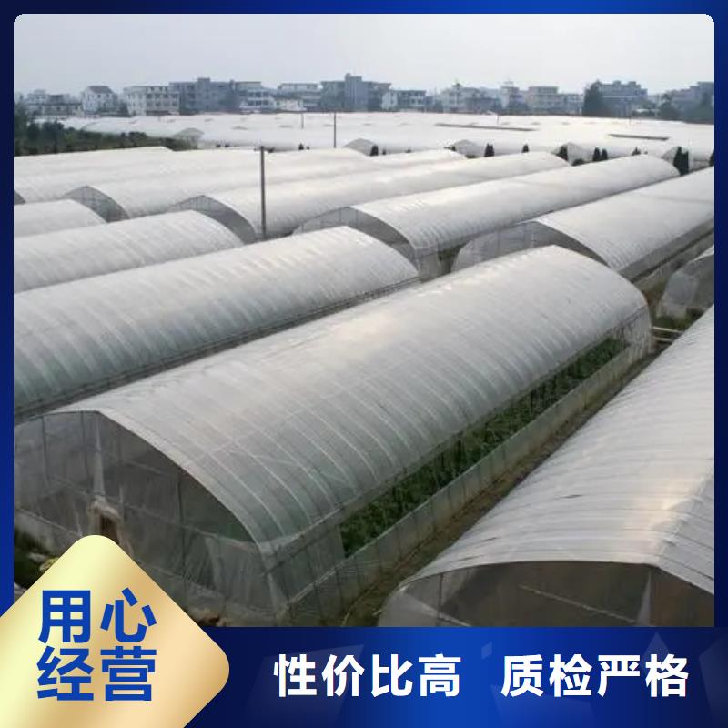 县西瓜大棚管10年经验