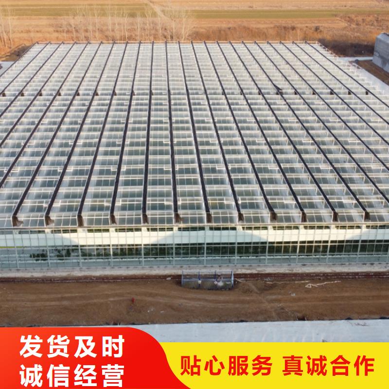 广东省汕头市溪南镇蔬菜大棚厂价格合理