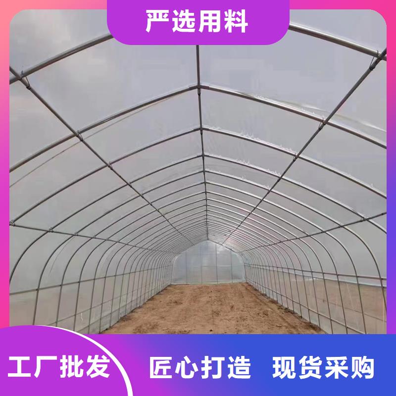 大棚铝合金卡槽卡簧价格行情