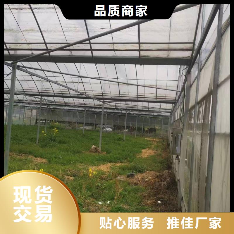 通风气楼支持定制