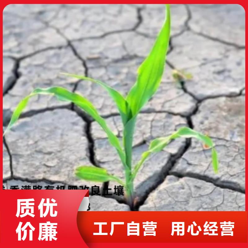 稻壳鸡粪生产商