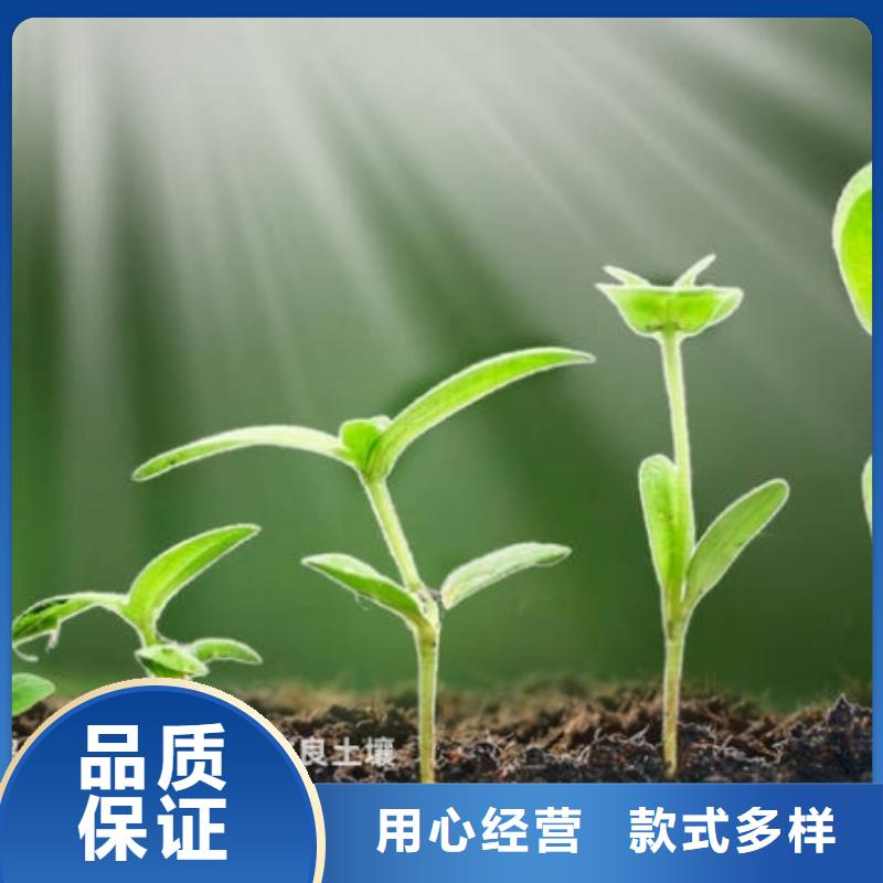 干鸡粪批发点