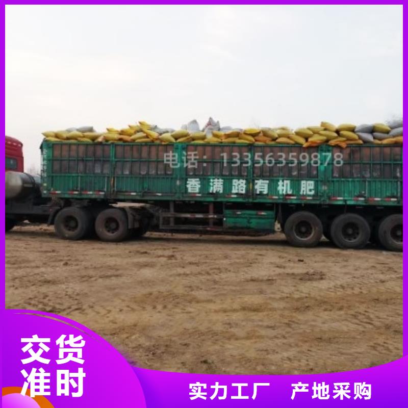 发酵羊粪大棚蔬菜能用