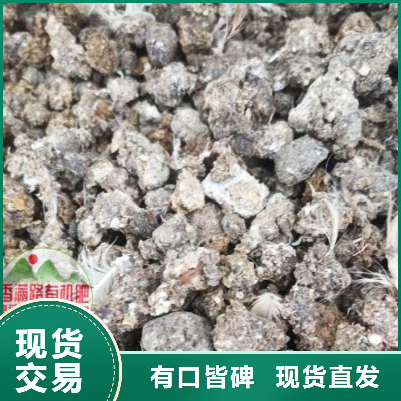 发酵鸡粪适合蔬菜施肥