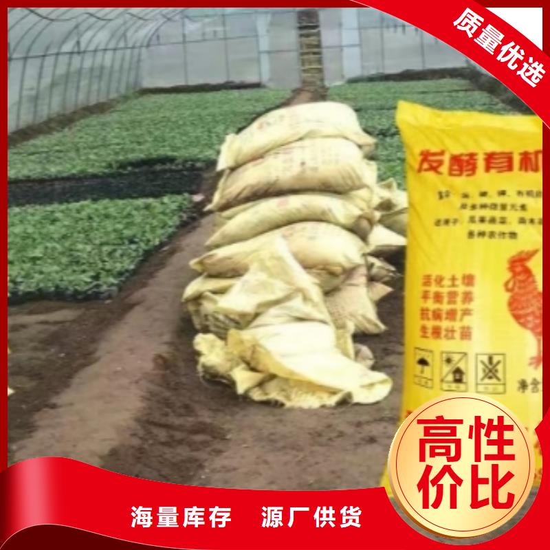 销售青州鸡粪视频-山东省淄博市|博山|沂源|泰安|东营|莱芜|烟台销售青州鸡粪-发酵鸡粪